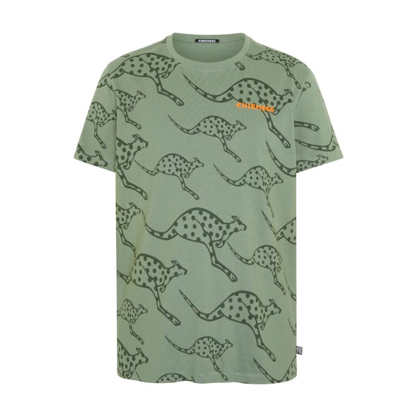 Chiemsee MBRC The Ocean Vierge T-Shirt grün